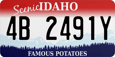 ID license plate 4B2491Y