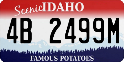 ID license plate 4B2499M