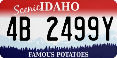 ID license plate 4B2499Y