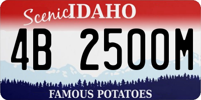 ID license plate 4B2500M