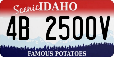 ID license plate 4B2500V
