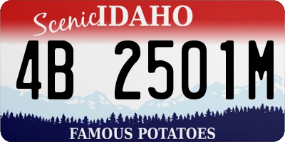 ID license plate 4B2501M