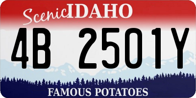 ID license plate 4B2501Y