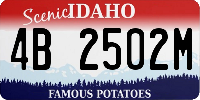 ID license plate 4B2502M