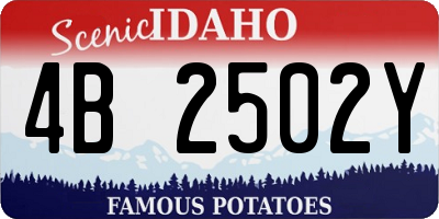 ID license plate 4B2502Y