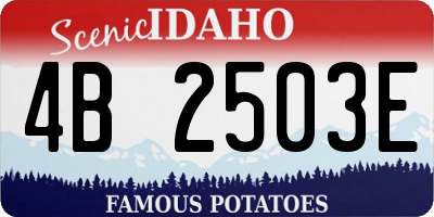 ID license plate 4B2503E