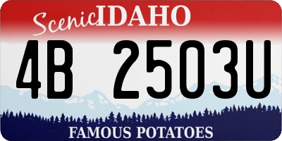 ID license plate 4B2503U