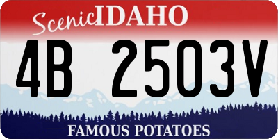 ID license plate 4B2503V