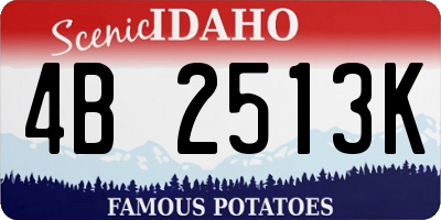 ID license plate 4B2513K