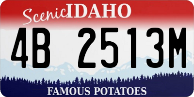 ID license plate 4B2513M