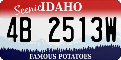 ID license plate 4B2513W