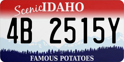 ID license plate 4B2515Y