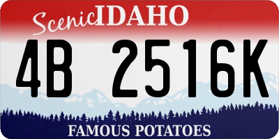ID license plate 4B2516K