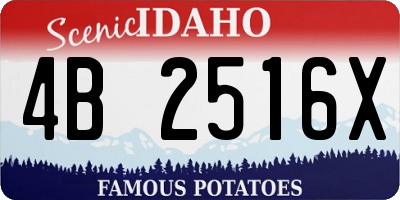 ID license plate 4B2516X