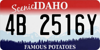 ID license plate 4B2516Y