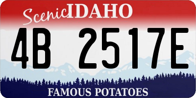 ID license plate 4B2517E