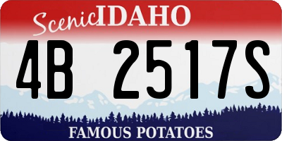 ID license plate 4B2517S