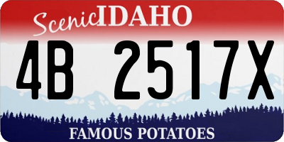 ID license plate 4B2517X