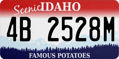 ID license plate 4B2528M