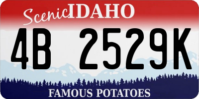 ID license plate 4B2529K