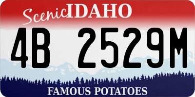 ID license plate 4B2529M
