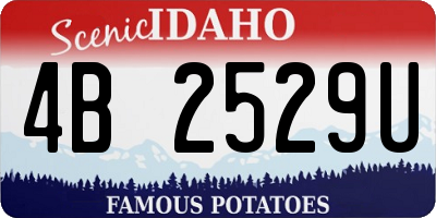 ID license plate 4B2529U