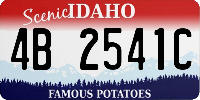 ID license plate 4B2541C