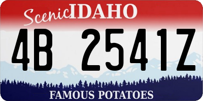 ID license plate 4B2541Z