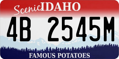 ID license plate 4B2545M