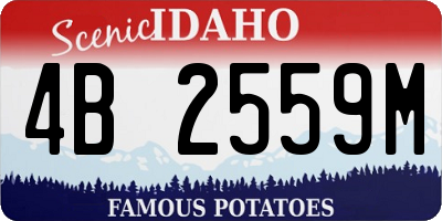ID license plate 4B2559M
