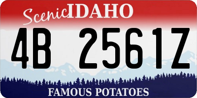 ID license plate 4B2561Z