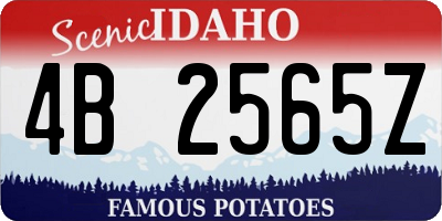 ID license plate 4B2565Z