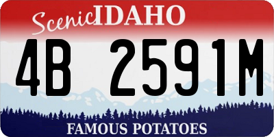ID license plate 4B2591M