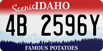 ID license plate 4B2596Y