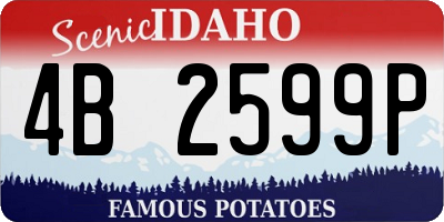 ID license plate 4B2599P