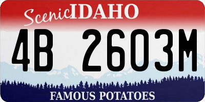 ID license plate 4B2603M