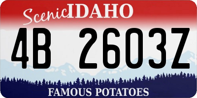 ID license plate 4B2603Z