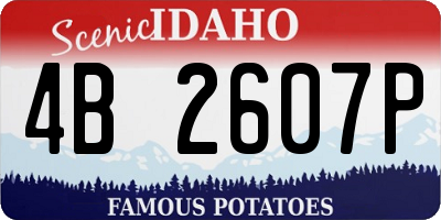 ID license plate 4B2607P
