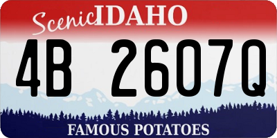 ID license plate 4B2607Q