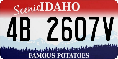 ID license plate 4B2607V