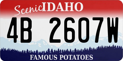 ID license plate 4B2607W