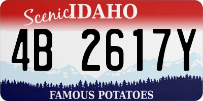 ID license plate 4B2617Y
