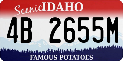 ID license plate 4B2655M