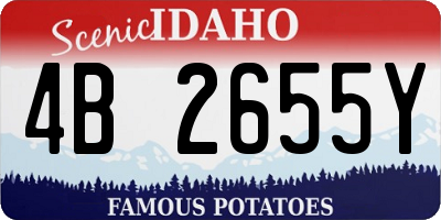 ID license plate 4B2655Y