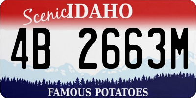 ID license plate 4B2663M