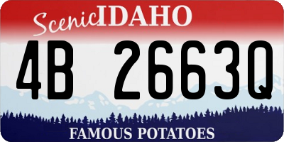 ID license plate 4B2663Q