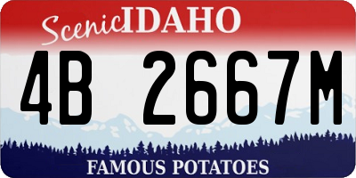 ID license plate 4B2667M
