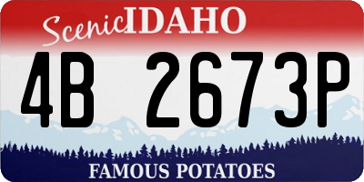 ID license plate 4B2673P