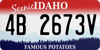 ID license plate 4B2673V
