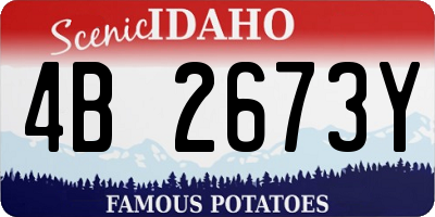 ID license plate 4B2673Y